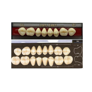 Dente Dent Clean Posterior 34L Superior - Imodonto - Dental Access