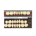 Dente Dent Clean Posterior 34L Inferior - Imodonto - Dental Access