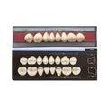 Dente Dent Clean Posterior 30M Superior - Imodonto - Dental Access