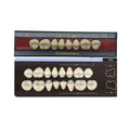 Dente Dent Clean Posterior 30M Superior - Imodonto - Dental Access