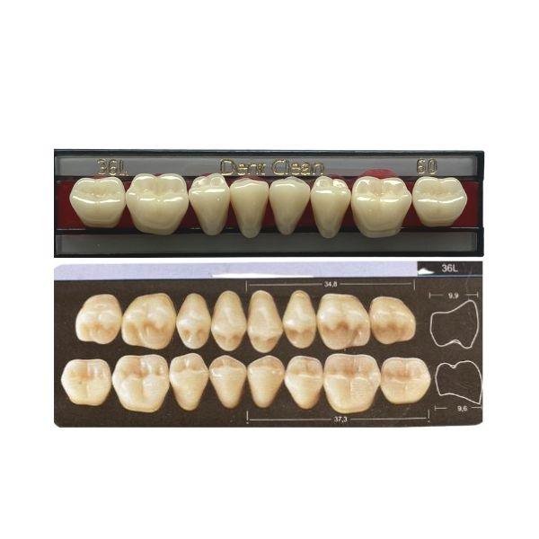 Dente Dent Clean Posterior 36L Inferior - Imodonto - Dental Access