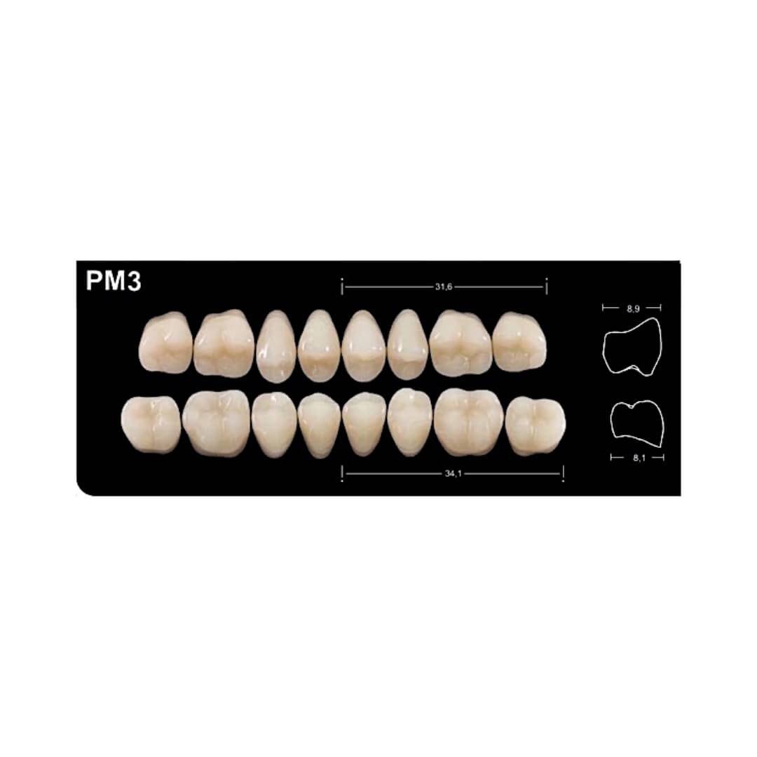 Dente New Form Posterior PM3 Inferior - Imodonto - Dental Access