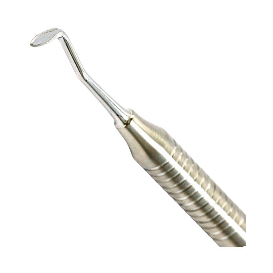 Sindesmótomo - Quinelato - Dental Access