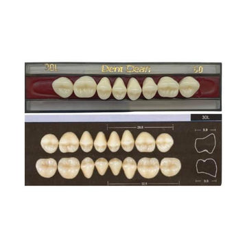 Dente Dent Clean Posterior 30L Superior - Imodonto - Dental Access