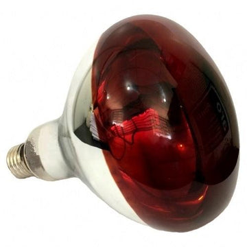Lâmpada Infravermelho R125 220V/230V 250W - Halotech - Dental Access