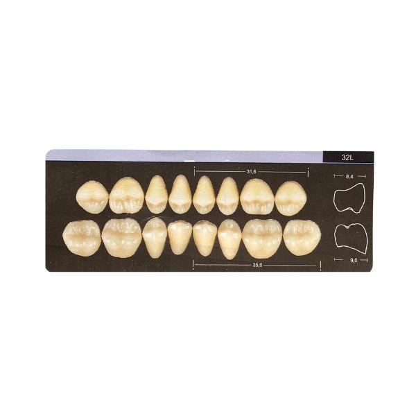 Dente Dent Clean Posterior 32L Superior - Imodonto - Dental Access
