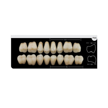 Dente Platinum Tri03 Camadas Posterior PM5 Superior-Imodonto - Dental Access