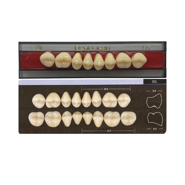 Dente Dent Clean Posterior 30L Superior - Imodonto - Dental Access