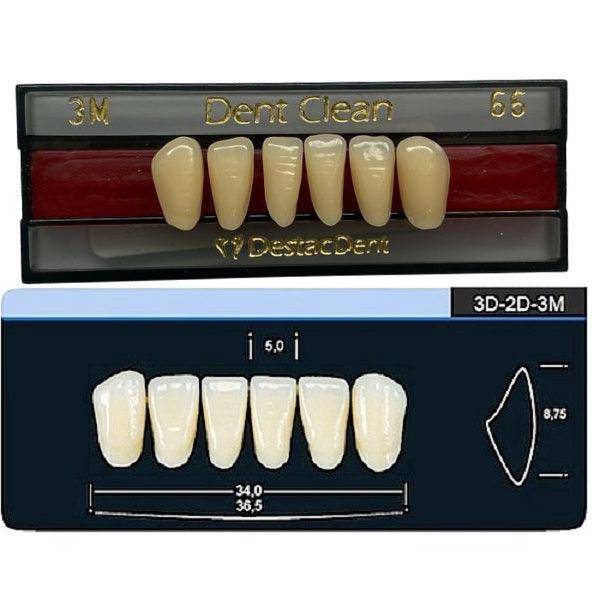 Dente Dent Clean Anterior 3M Inferior - Imodonto - Dental Access