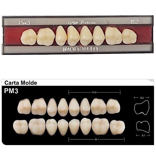 Dente New Form Posterior PM3 Superior - Imodonto