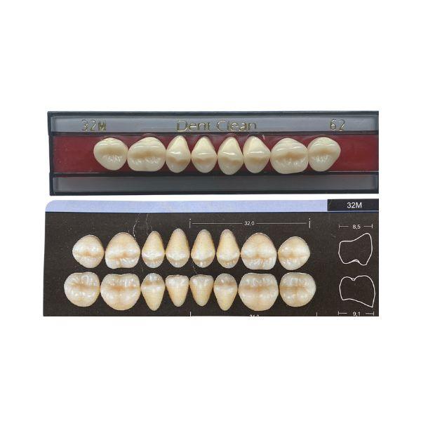 Dente Dent Clean Posterior 32M Superior - Imodonto - Dental Access