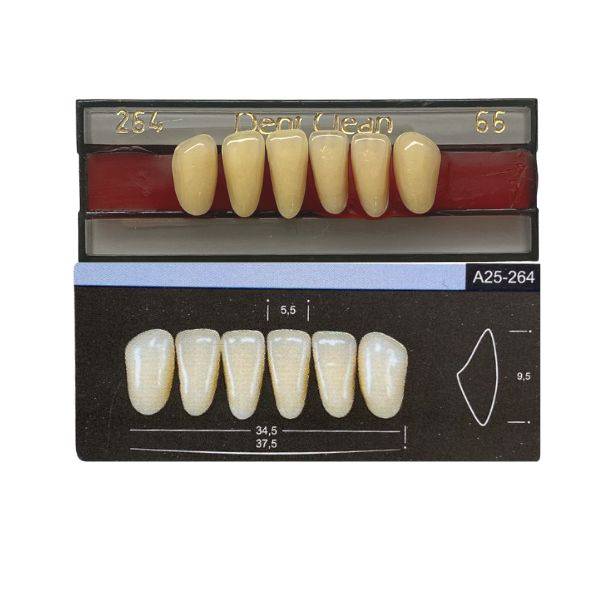 Dente Dent Clean Anterior 264 Inferior - Imodonto - Dental Access