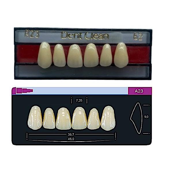 Dente Dent Clean Anterior A23 Superior - Imodonto