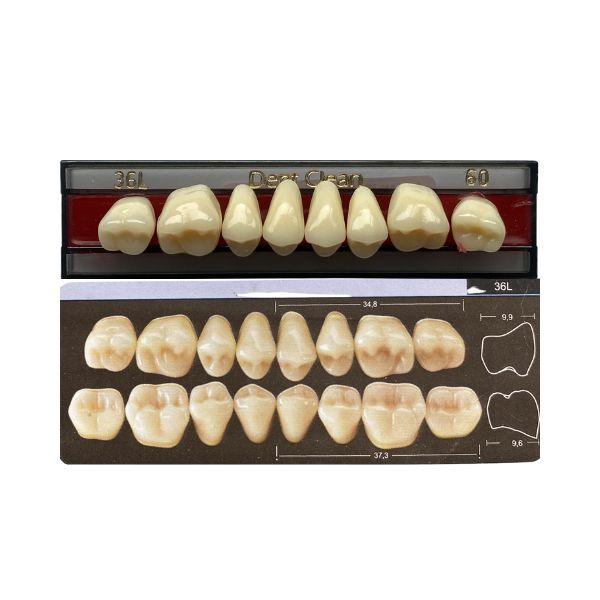 Dente Dent Clean Posterior 36L Superior - Imodonto - Dental Access