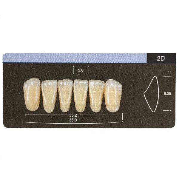 Dente Dent Clean Anterior 2D Inferior - Imodonto