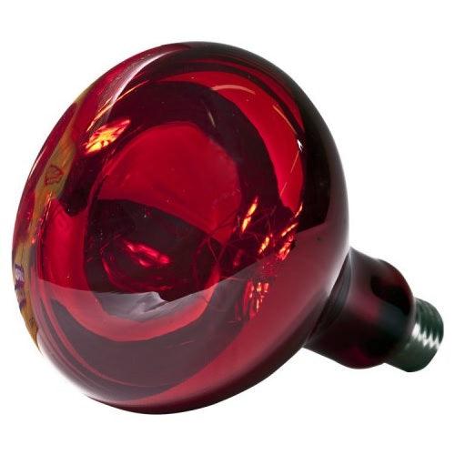 Lâmpada Incandescente Infravermelho 110/130V 250W JPN - IlumiSampa - Dental Access