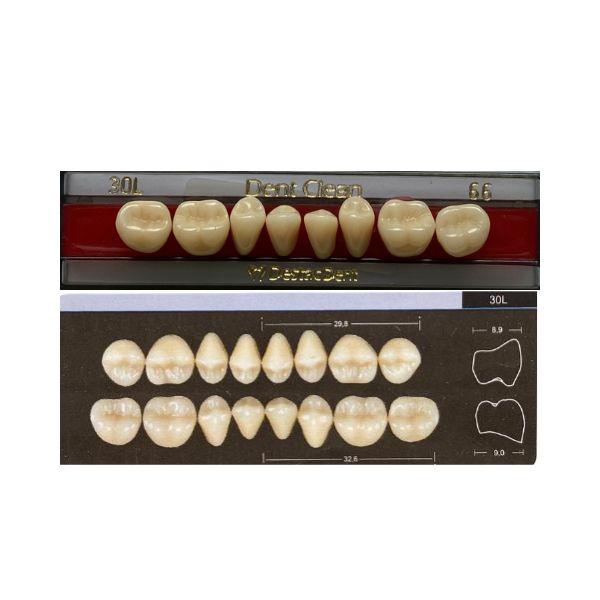 Dente Dent Clean Posterior 30L Inferior - Imodonto - Dental Access