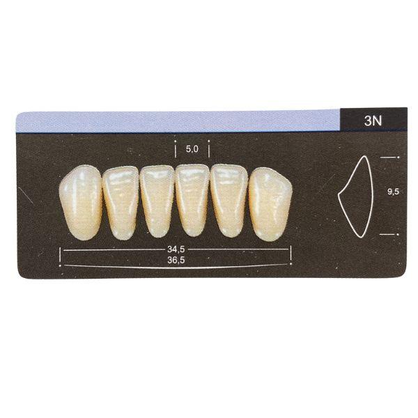 Dente Dent Clean Anterior 3N Inferior - Imodonto - Dental Access
