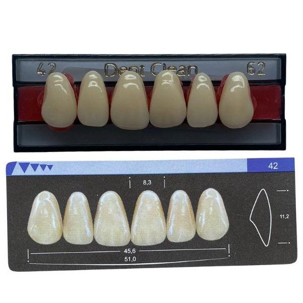 Dente Dent Clean Anterior 42 Superior - Imodonto - Dental Access