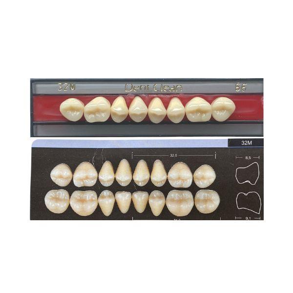 Dente Dent Clean Posterior 32M Superior - Imodonto - Dental Access
