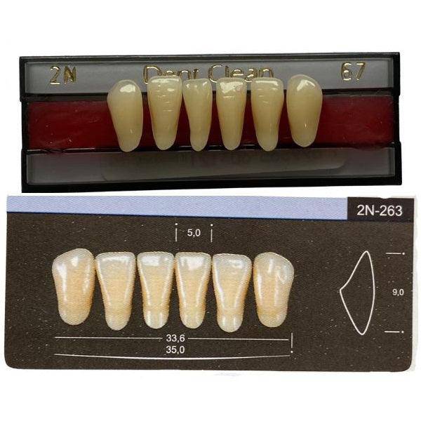Dente Dent Clean Anterior 2N Inferior - Imodonto - Dental Access