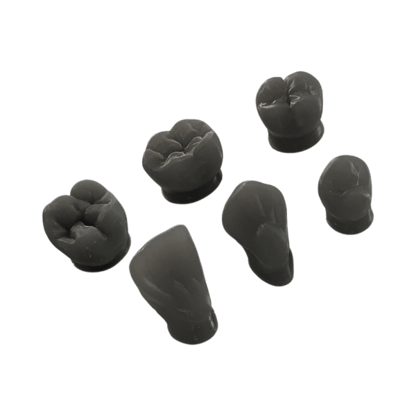 MacroSculp - Biom 3D - Dental Access