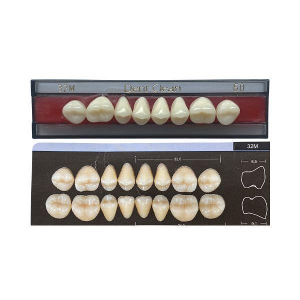Dente Dent Clean Posterior 32M Superior - Imodonto - Dental Access
