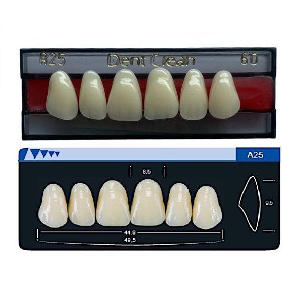 Dente Dent Clean Anterior A25 Superior - Imodonto - Dental Access
