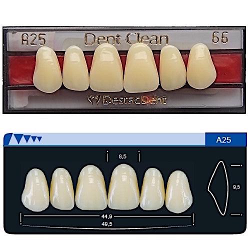 Dente Dent Clean Anterior A25 Superior - Imodonto - Dental Access