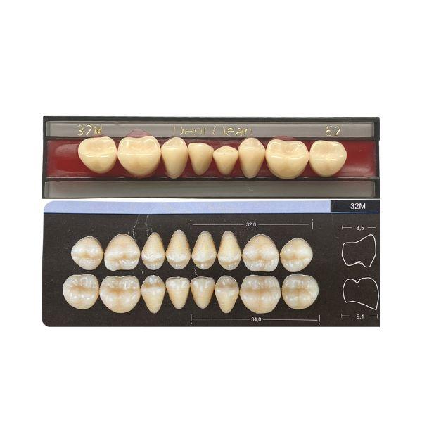 Dente Dent Clean Posterior 32M Inferior - Imodonto - Dental Access