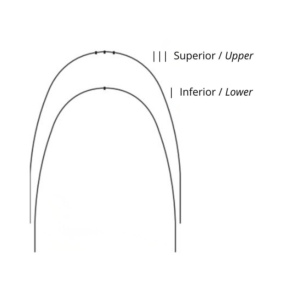 Arco Flexy Niti Curva Reversa Redondo Orthometric
