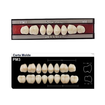 Dente New Form Posterior PM3 Superior - Imodonto - Dental Access