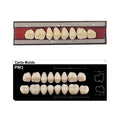 Dente New Form Posterior PM3 Superior - Imodonto - Dental Access