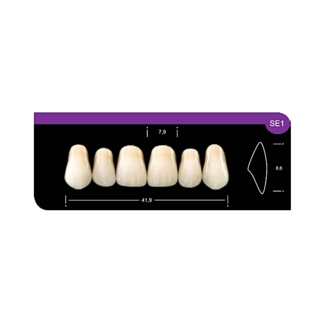 Dente Platinum Tri 03 Camadas Anterior SE1 Superior-Imodonto - Dental Access