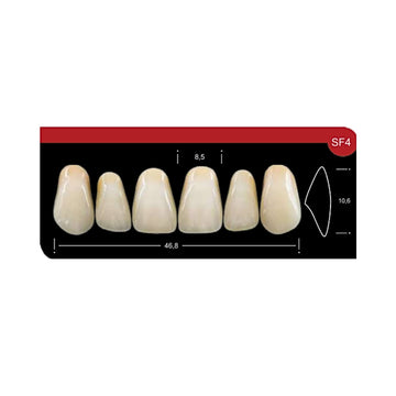 Dente Platinum Tri 03 Camadas Anterior SF4 Superior-Imodonto