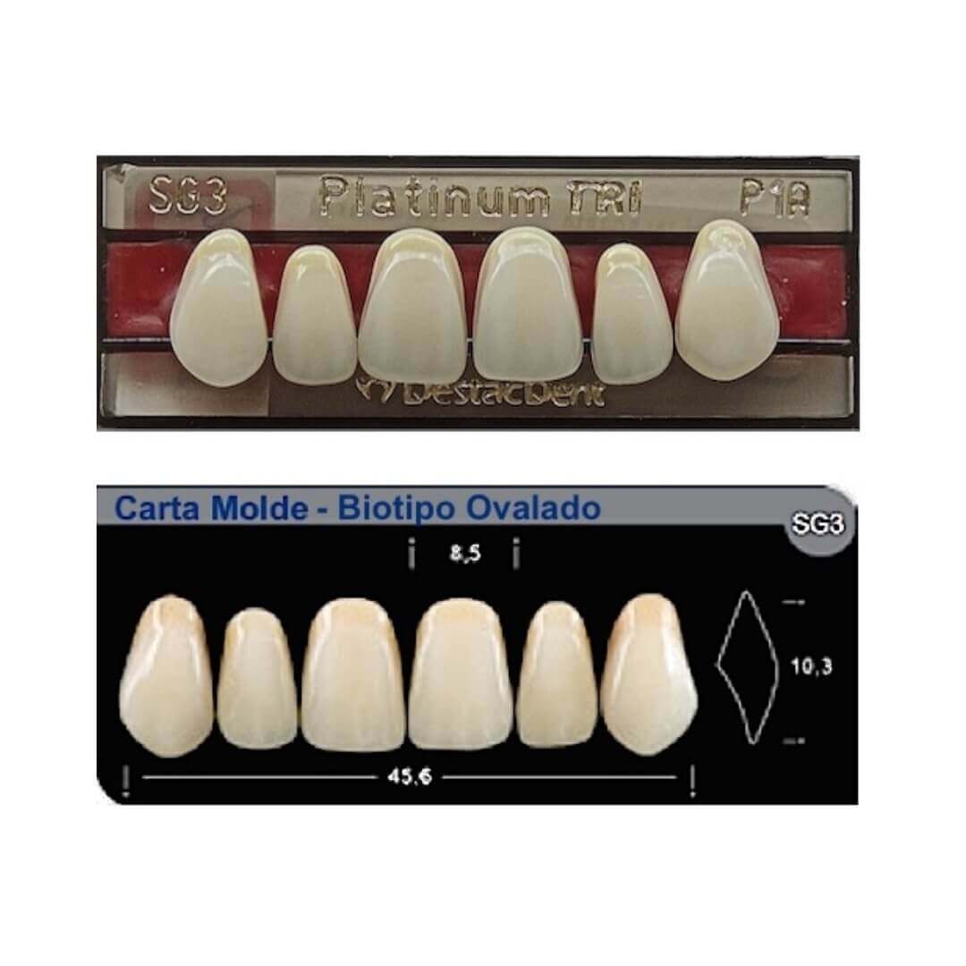 Dente Platinum Tri 03 Camadas Anterior SG3 Superior -Imodonto - Dental Access