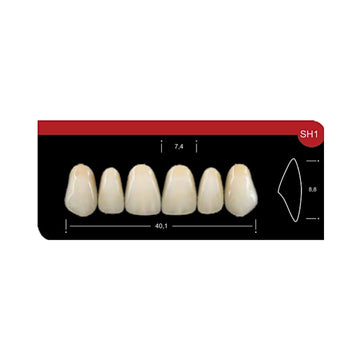 Dente Platinum Tri 03 Camadas Anterior SH1 Superior-Imodonto