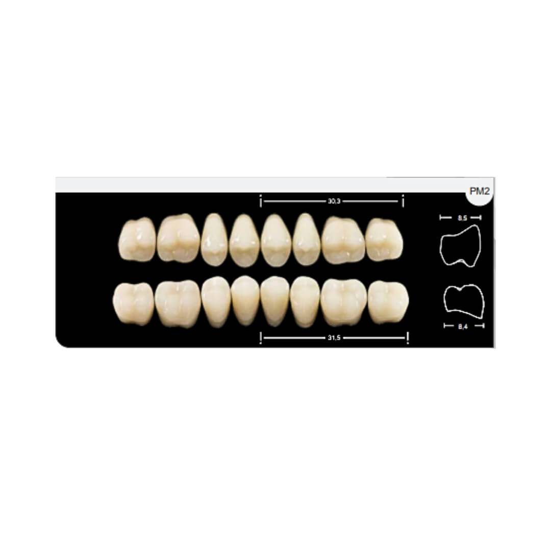 Dente Platinum Tri03 Camadas Posterior PM2 Superior-Imodonto - Dental Access