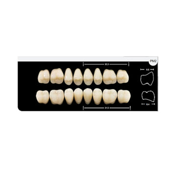 Dente Platinum Tri03 Camadas Posterior PM2 Superior-Imodonto