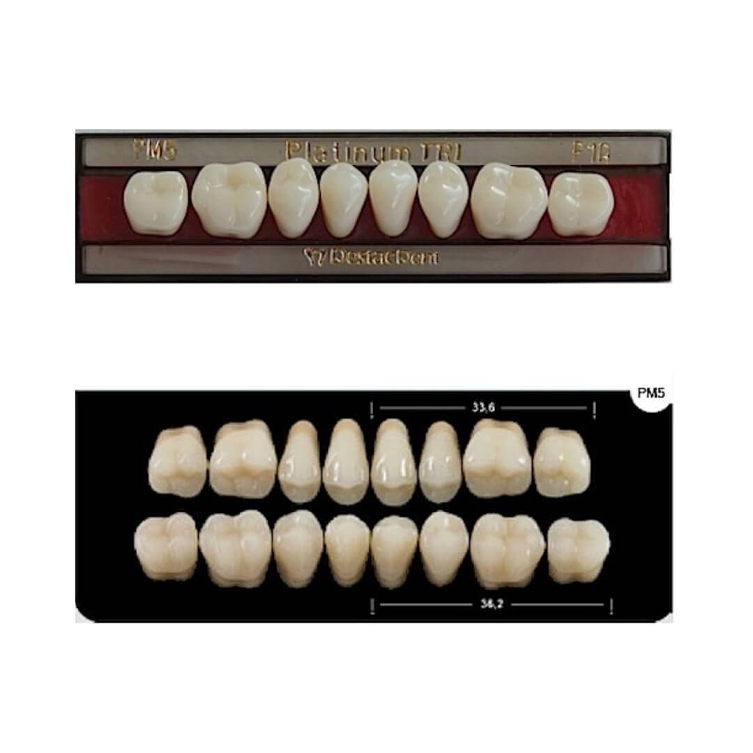 Dente Platinum Tri03 Camadas Posterior PM5 Inferior-Imodonto - Dental Access