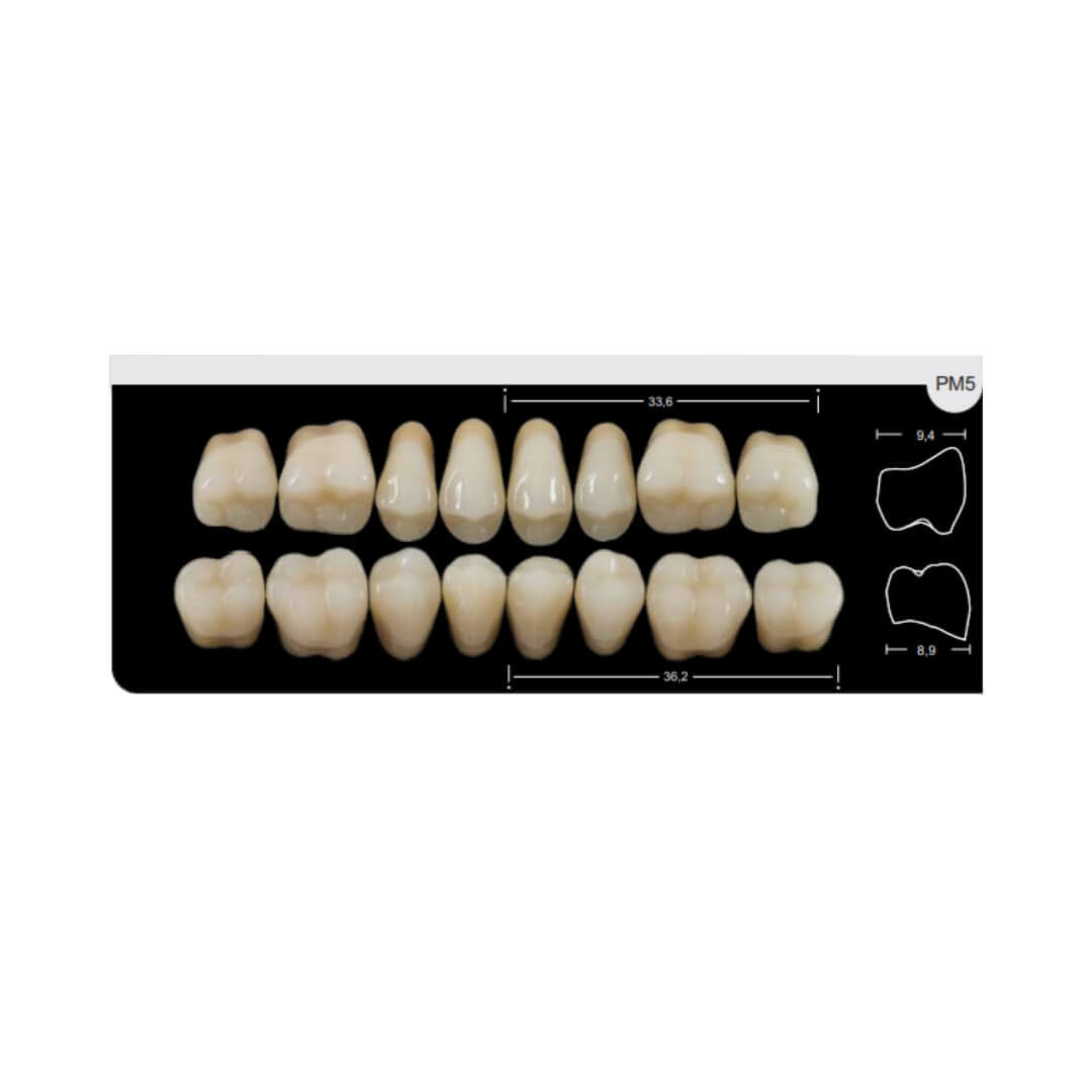 Dente Platinum Tri03 Camadas Posterior PM5 Superior-Imodonto