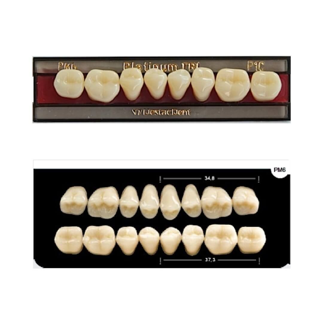 Dente Platinum Tri03 Camadas Posterior PM6 Inferior-Imodonto - Dental Access