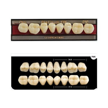 Dente Platinum Tri03 Camadas Posterior PM6 Inferior-Imodonto