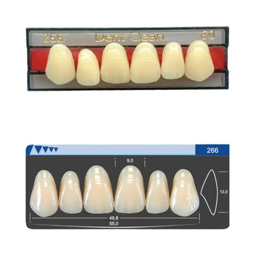 Dent Clean Anterior Tooth 266 Superior - Imodonto