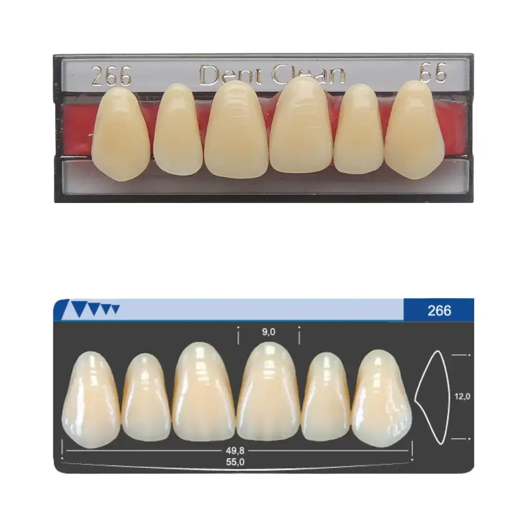 Dent Clean Anterior Tooth 266 Superior - Imodonto