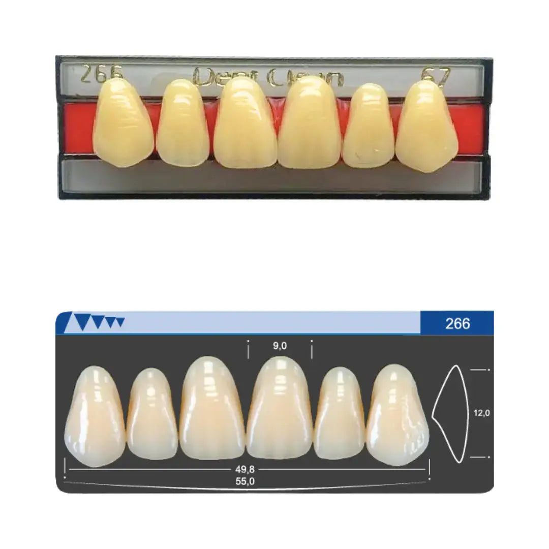 Dent Clean Anterior Tooth 266 Superior - Imodonto