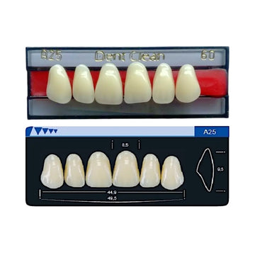 Dente Dent Clean Anterior A25 Superior - Imodonto - Dental Access