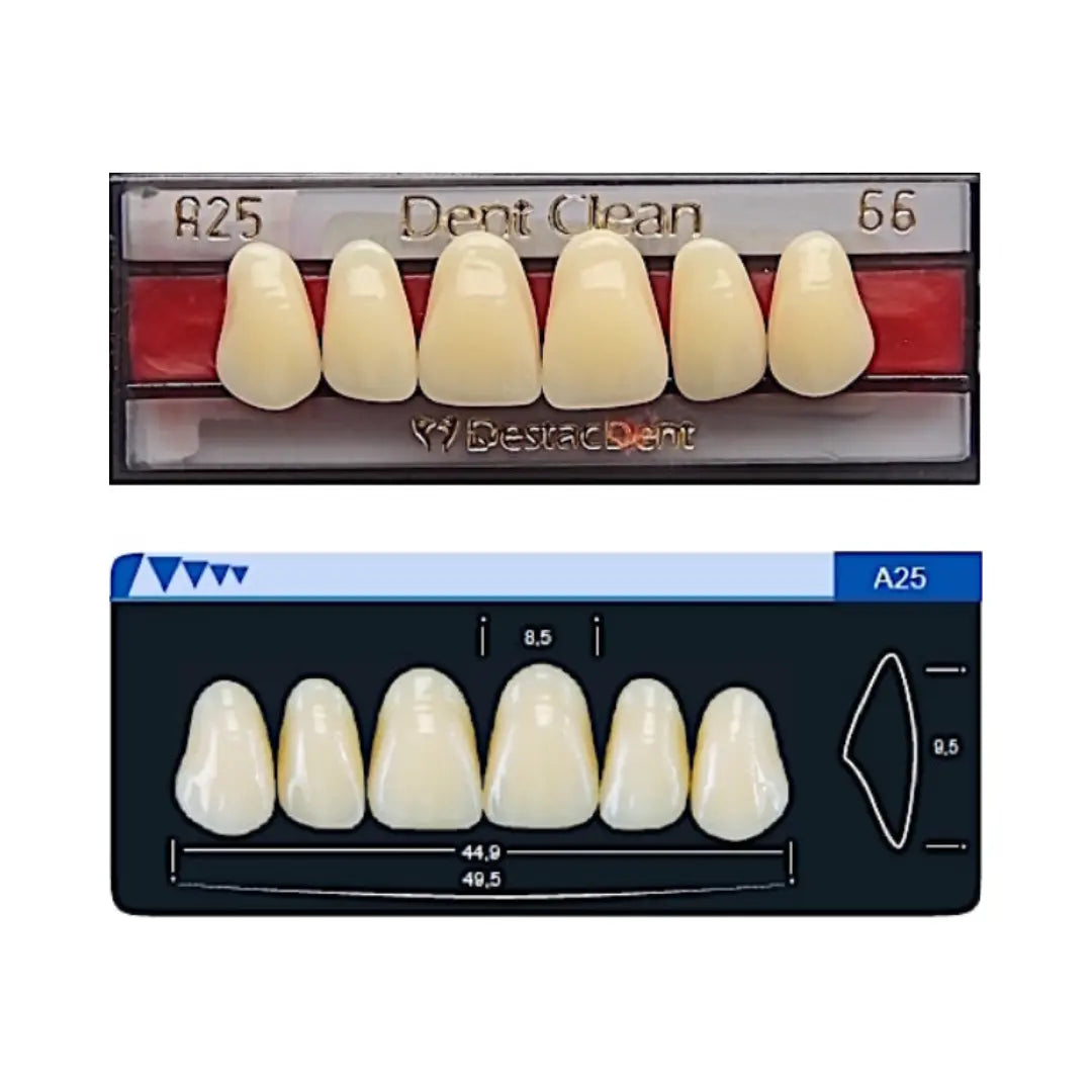 Dente Dent Clean Anterior A25 Superior - Imodonto - Dental Access