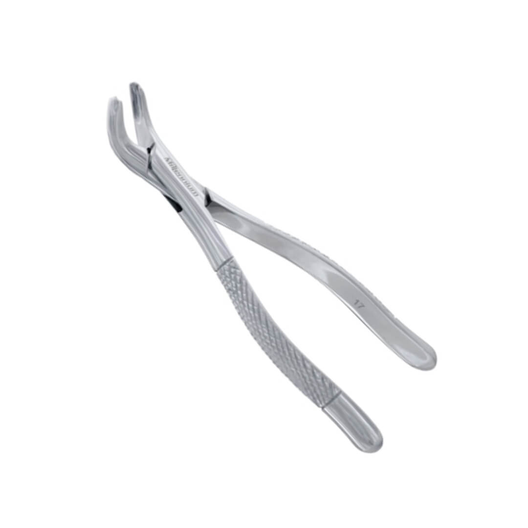 Fórceps Odontológico Adulto - Golgran - Dental Access