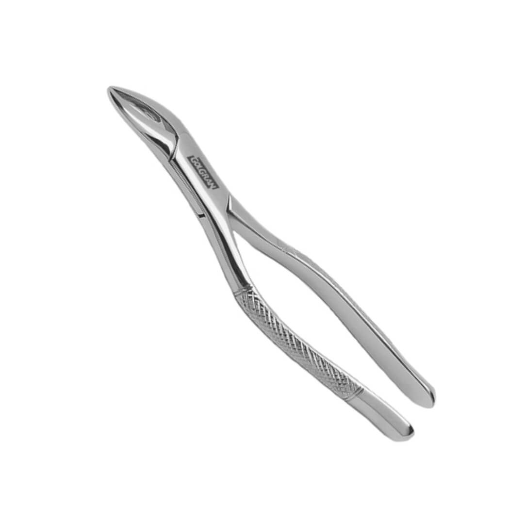 Fórceps Odontológico Infantil - Golgran - Dental Access